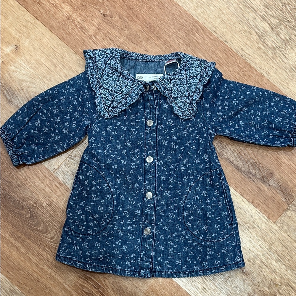 Zara Toddler Floral Denim Dress with Ruffled Collar